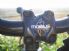 Mobius Bike Trails, Guided Bike Trails, Perranporth