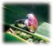 Carleen Handcrafted Jewellery, Handcrafted Jewellery, Truro