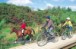 Coast to Coast Trail Cycle Hire, Guided Rides, and Training, Cycle Hire / MTB Hire, Guided Bike Trails, Truro