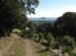 Tremenheere Sculpture Gardens, Visitor Attractions, Gardens, Marazion