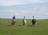 Hallagenna Horse Riding & Equestrian Holidays on Bodmin Moor, Horse Riding Centres, Bodmin