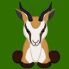 Springbok Holiday Home Cleaning Services, Cleaning Services, Truro