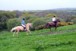 Bosvathick Farm Riding Stables, Horse Riding Centres, Falmouth
