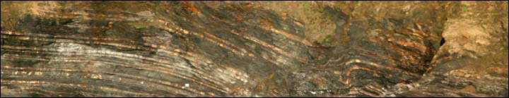 Folded Shales, Crackington Haven, North Cornwall