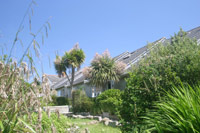 The Land's End Vineries, Land's End
