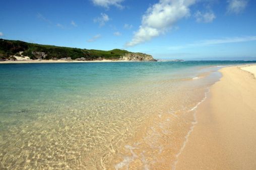 Tehidy Holiday Park - local beach - Hayle Towans