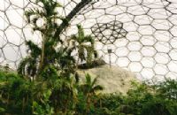 Rainforest Biodome - early developments Rainforest Biodome - early developments