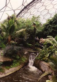 Streams and waterfalls at Eden Streams and waterfalls at Eden