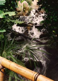 Cascades inside the biodomes