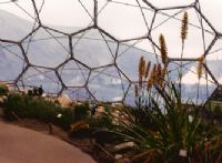 Mediterranean Biome