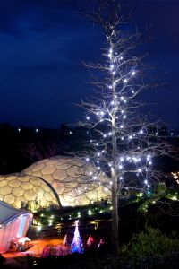Eden at Christmas