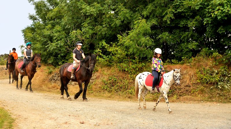 Cornish Riding Holidays/Wheal Buller Riding School