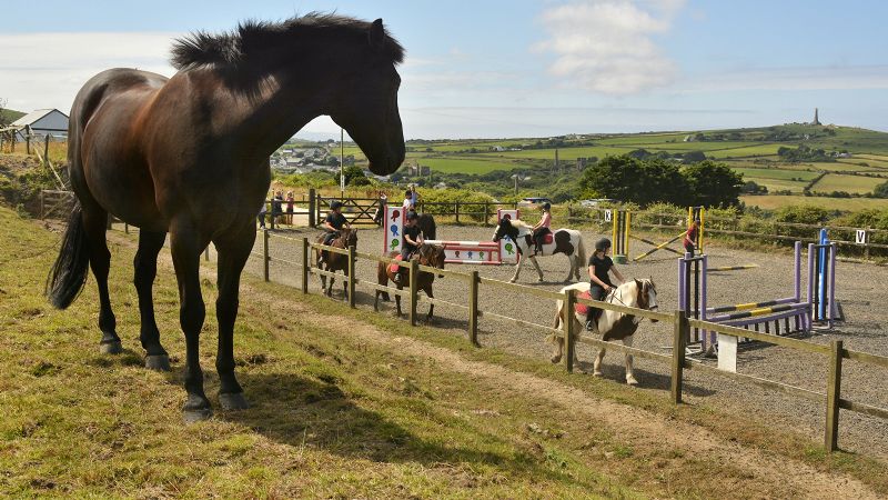 Cornish Riding Holidays/Wheal Buller Riding School Cornish Riding Holidays/Wheal Buller Riding School