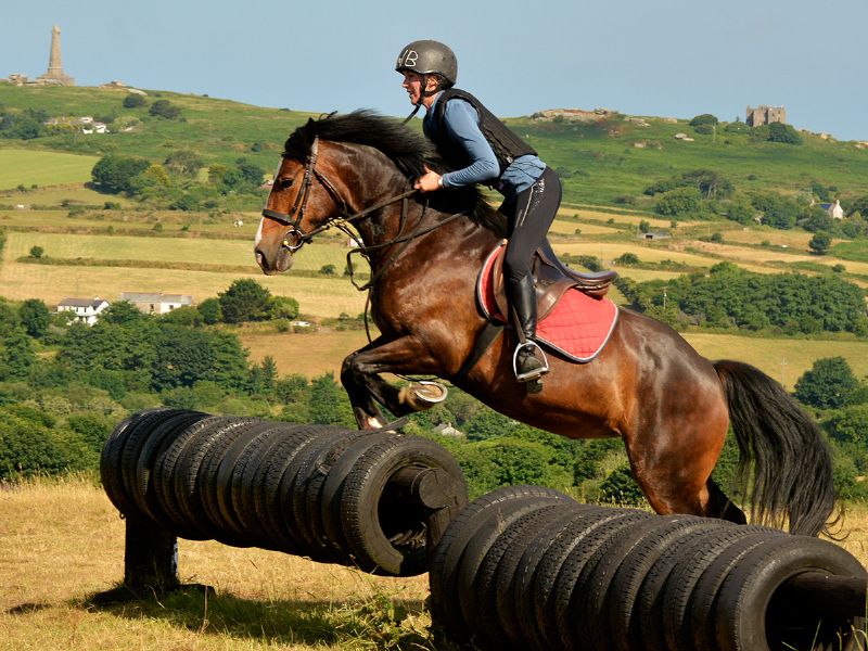 Cornwall Riding Academy at Wheal Buller Riding School in Redruth
