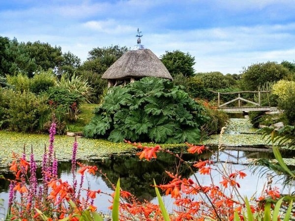 Tanglewood Wild Garden, Visitor Attractions