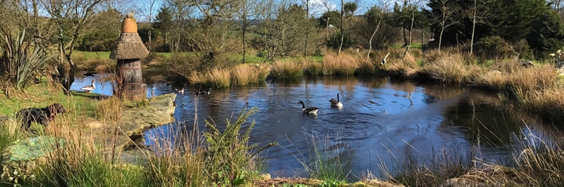 Tanglewood Wild Garden