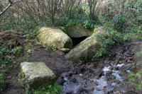 St Euny Holy Well, Sancreed