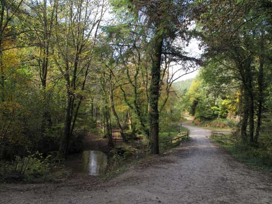 10 things to do in Cornwall in October