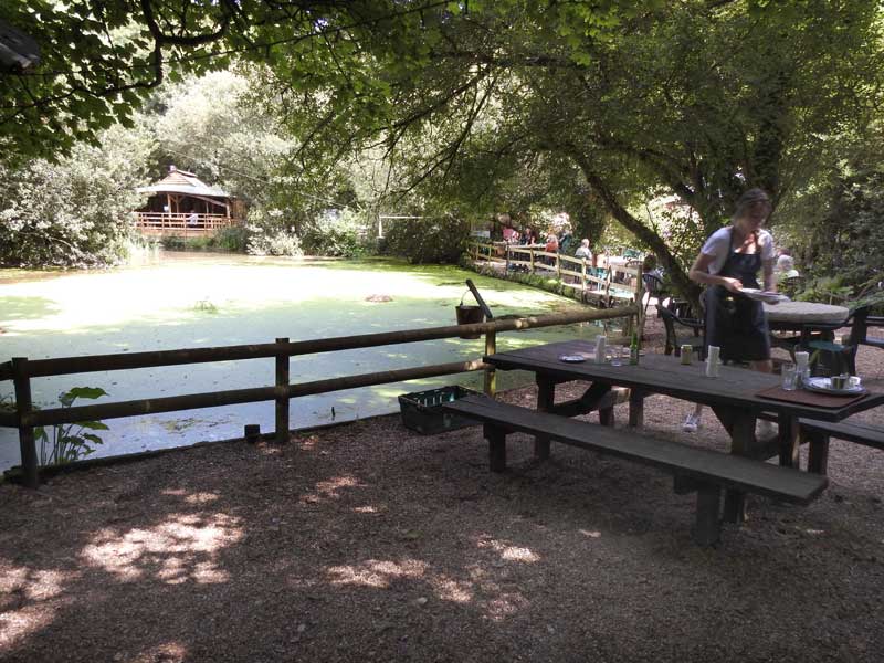 10 Best Cafes in Cornwall - Melinsey Mill, Veryan, Nr Truro, TR2 5PX