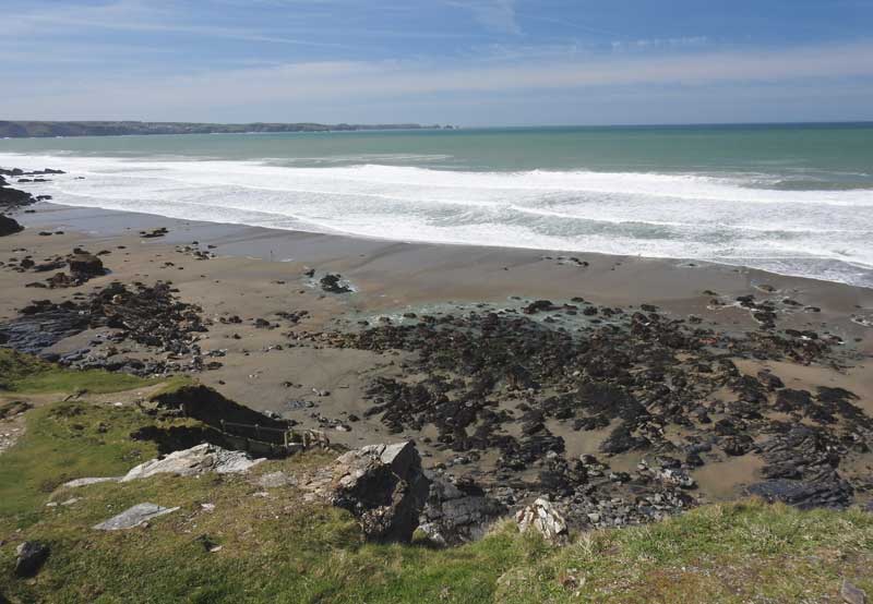 10 Best Dog Friendly Beaches in Cornwall - Tregardock Beach