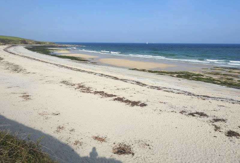 10 Best Dog Friendly Beaches in Cornwall - Towan Beach