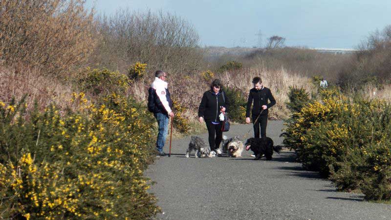 10 Best Free Days Out in Cornwall - Walking, Cycling and Horse Riding Trails