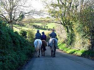 Horse Riding in Cornwall
