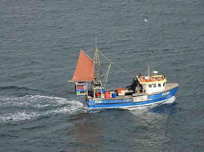 Bringing Home the Catch, Newquay