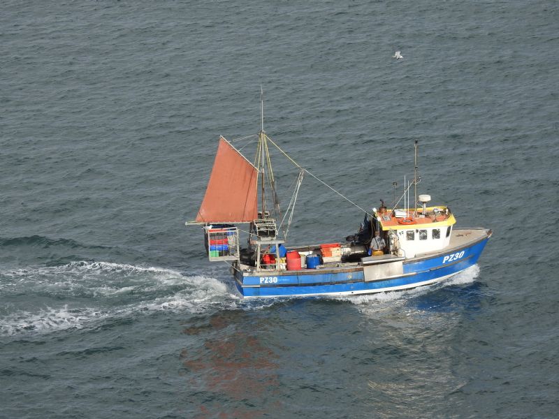 Bringing Home the Catch, Newquay