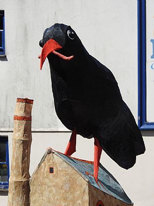 Chough at Mazey Day
