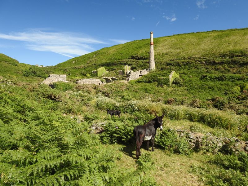 Summer in the Kenidjack Valley (Nancherrow Valley)