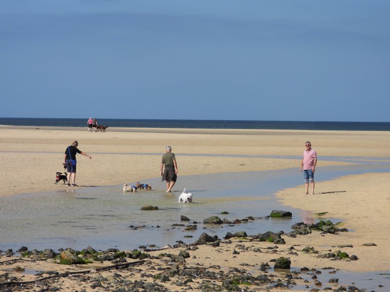 Porthkidney Beach
