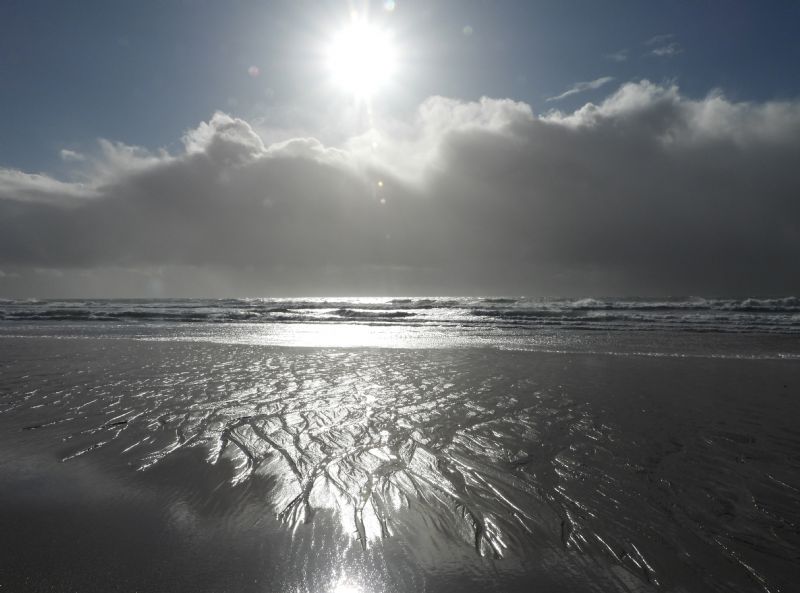 The Sunshine between the Showers