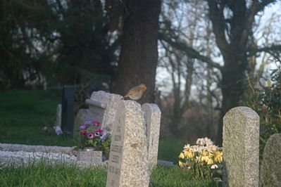 Altarnun Churchyard