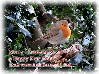 10 things to do in Cornwall in December