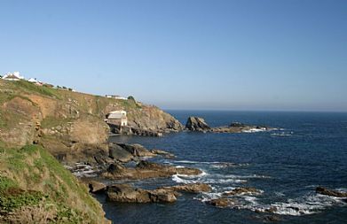 Lizard Point