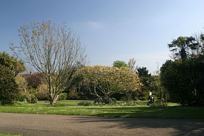 Morrab Gardens Penzance
