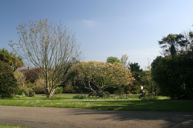 Morrab Gardens Penzance
