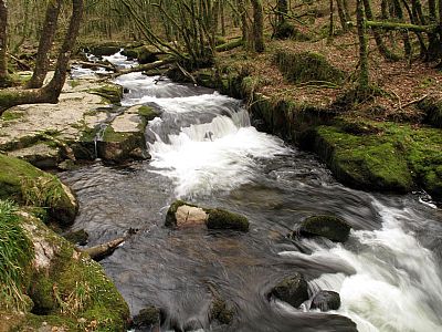 Golitha Falls on the River Fowey
