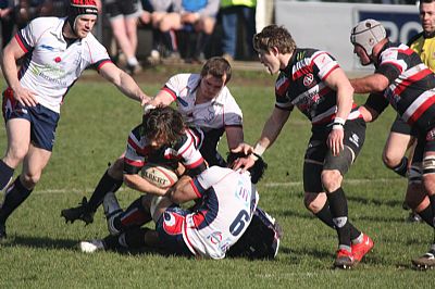 Cornish Pirates v Doncaster Knights