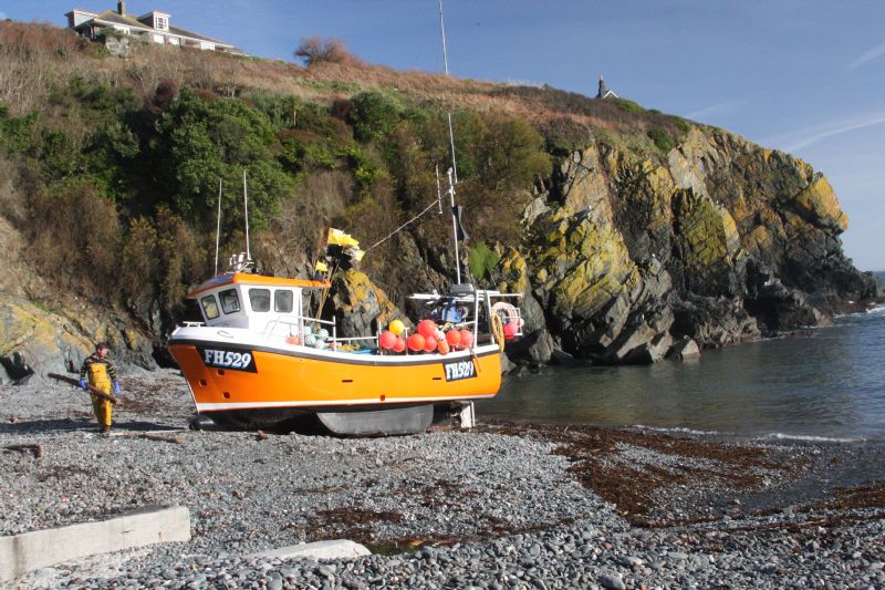 Bringing in the fishing boats at Cadgwith
