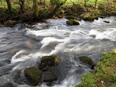 Golitha Falls on the River Fowey