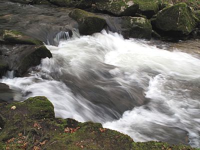 Golitha Falls on the River Fowey