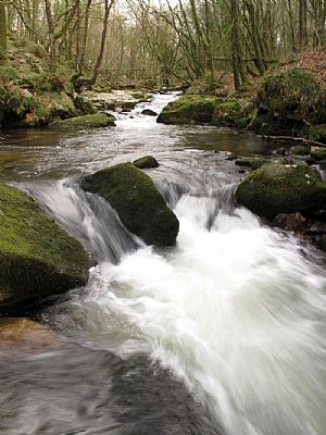 Golitha Falls on the River Fowey