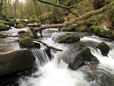 Golitha Falls on the River Fowey Golitha Falls on the River Fowey