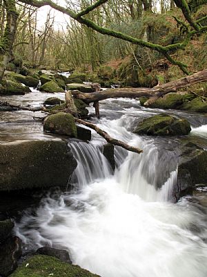 Golitha Falls on the River Fowey Golitha Falls on the River Fowey