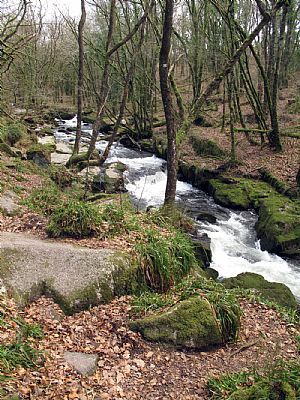Golitha Falls on the River Fowey