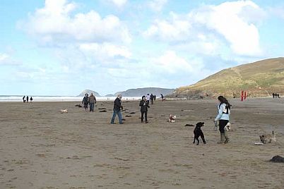 Dogs and their owners enjoying Perranporth Beach