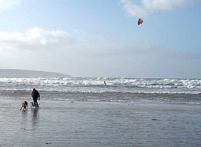Dogs enjoying Gwithian Beach