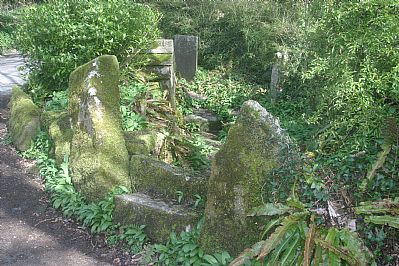 St Keyne's Holy Well St Keyne's Holy Well
